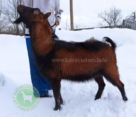 Кунгур 2 Марина Третьякова.jpg