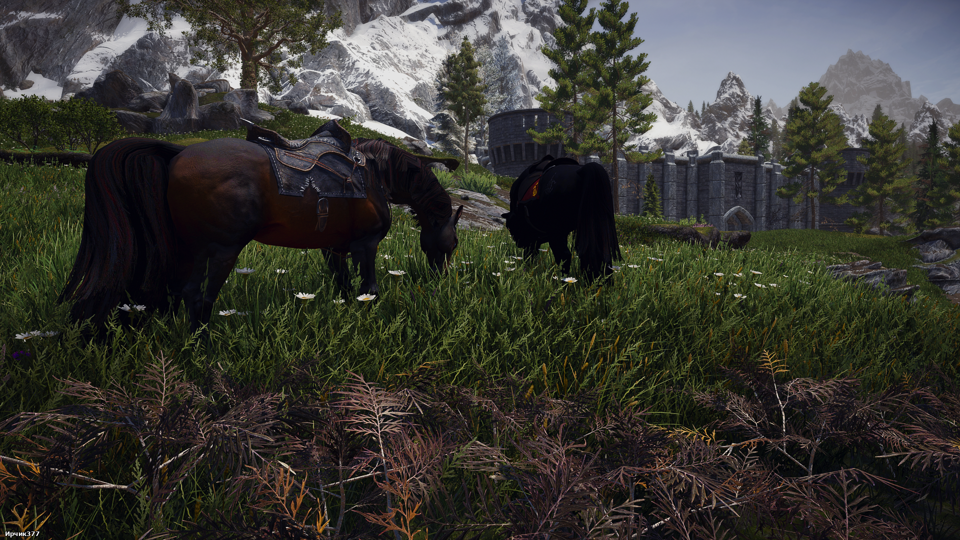 The Elder Scrolls V  Skyrim Special Edition Screenshot 2025.09.20 - 15.37.02.78.png