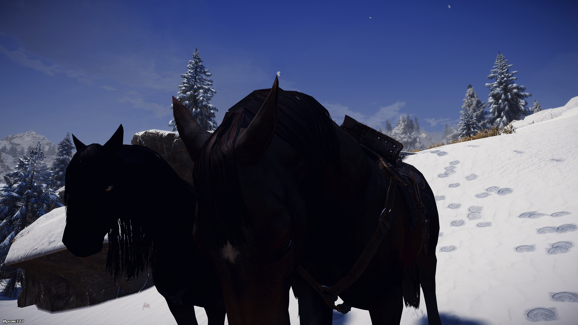 The Elder Scrolls V  Skyrim Special Edition Screenshot 2025.09.20 - 12.32.40.45.png
