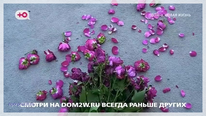 https://i7.imageban.ru/out/2025/10/04/d1457da73cc37c3ad3ec5b48d8019b68.jpg