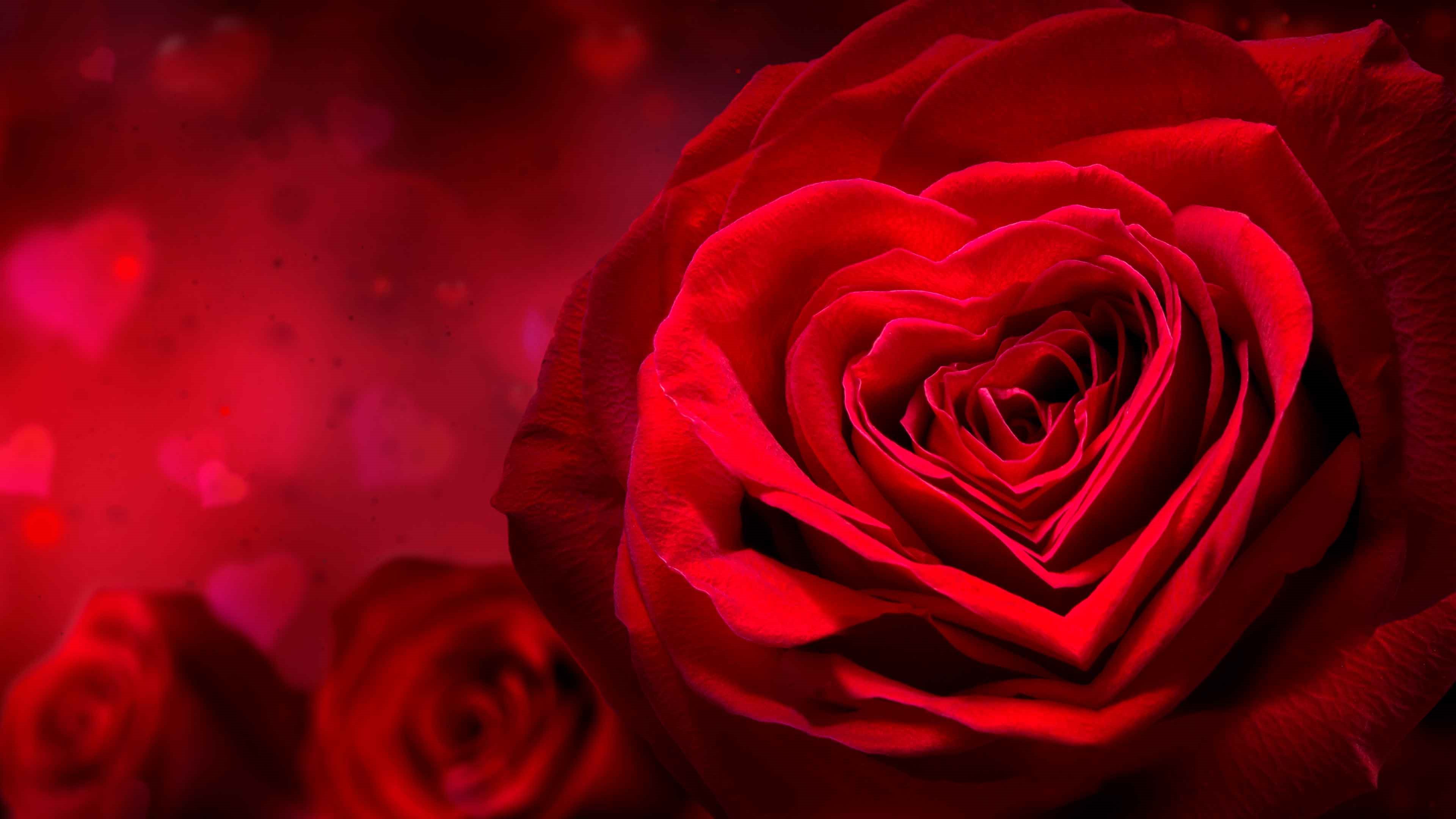 Клик для увеличения