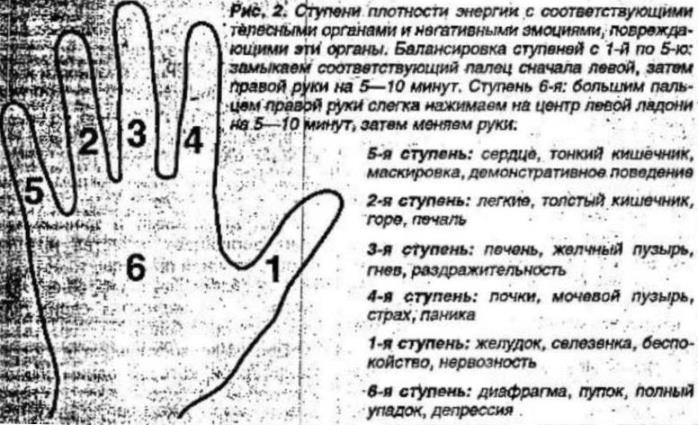 https://i7.imageban.ru/out/2025/10/05/64c4c14e69e63ccdc52a3d977d540770.jpg