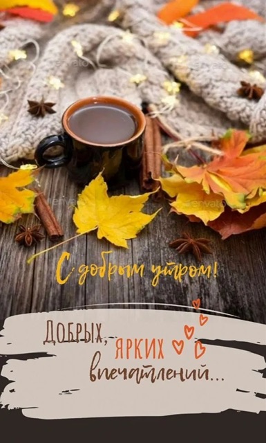 https://i7.imageban.ru/out/2025/10/07/96cce5b19902149fa0385c58be792b38.jpeg