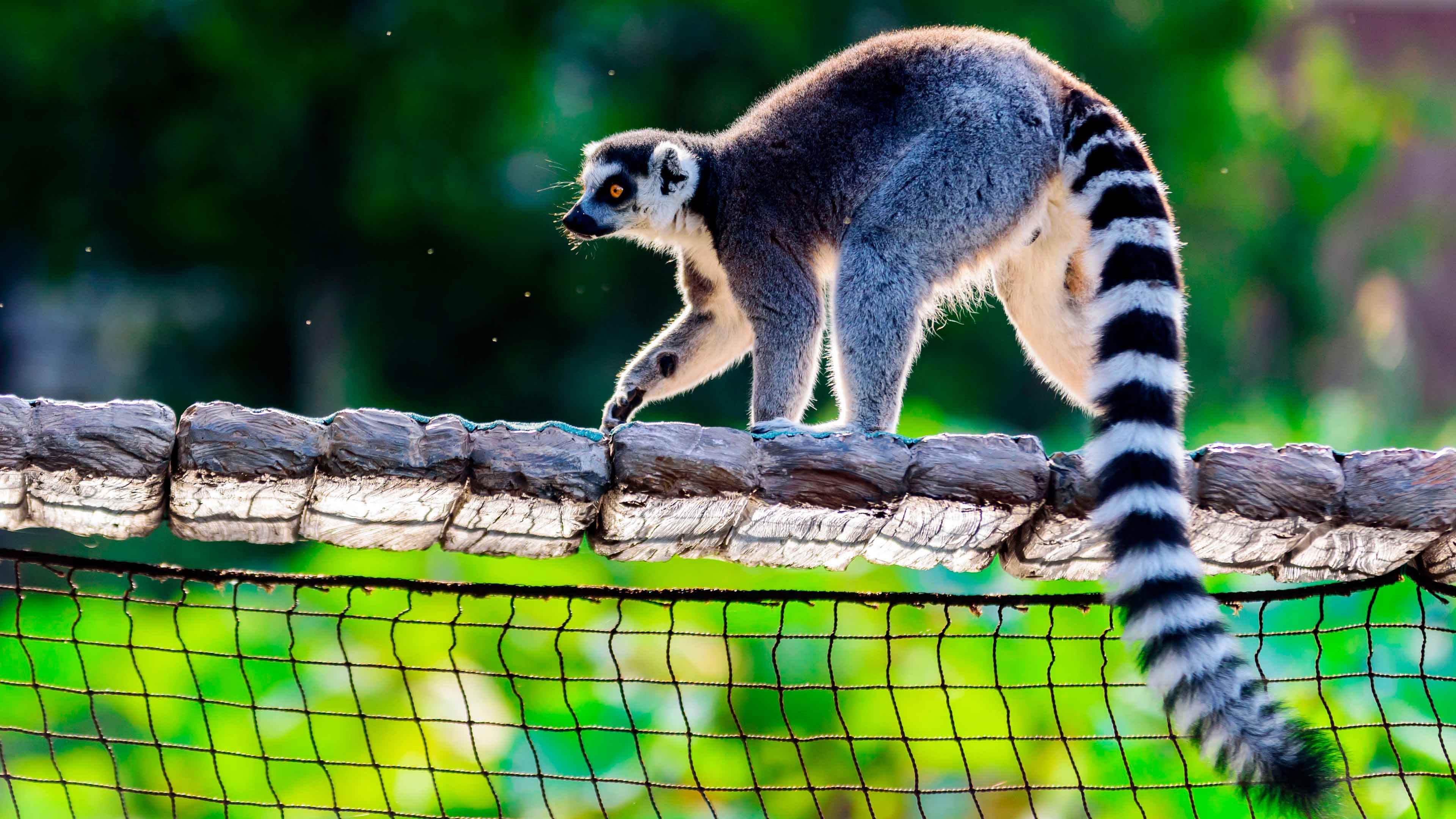 Клик для увеличения