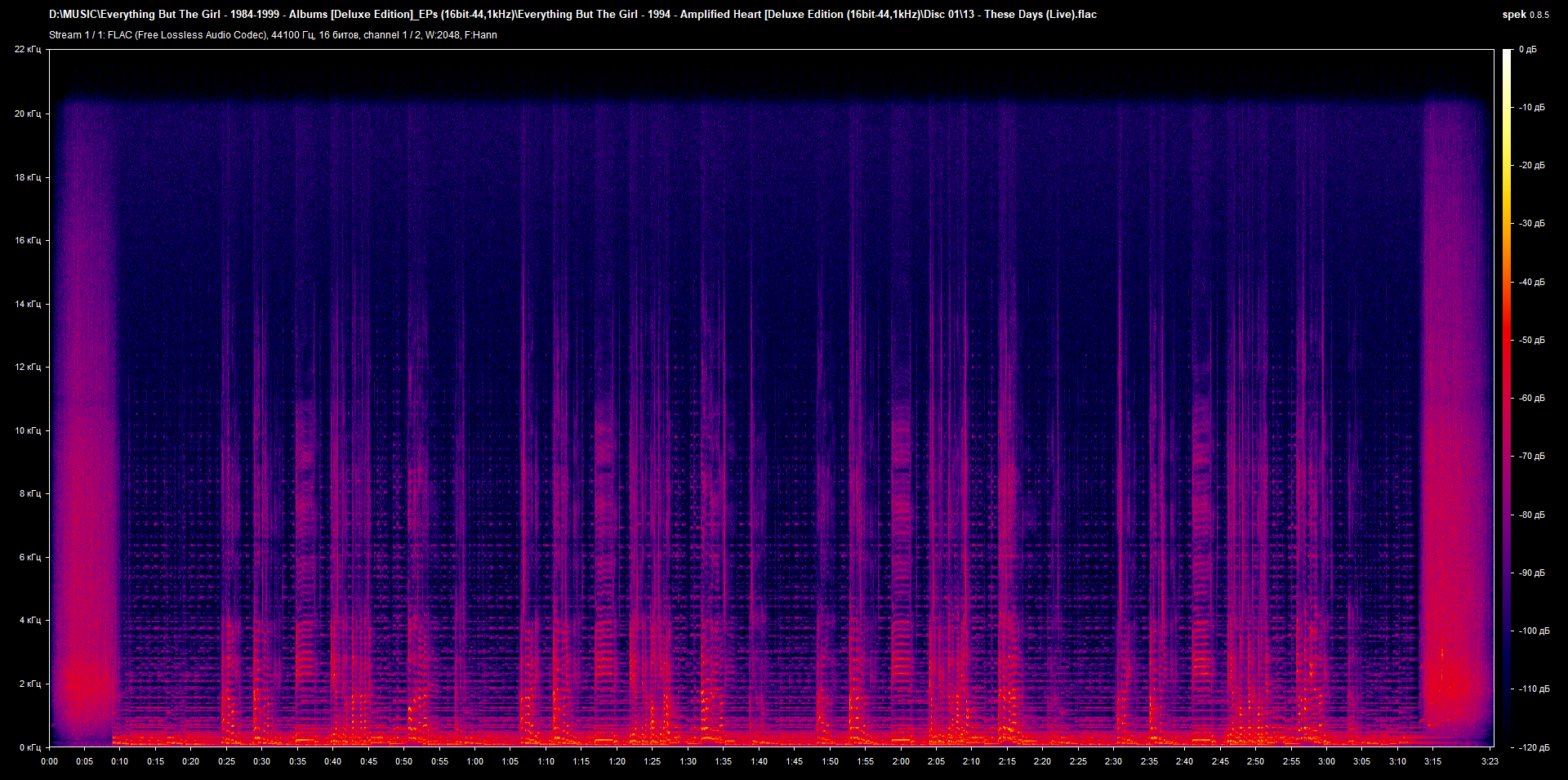 13 - These Days (Live).flac.png
