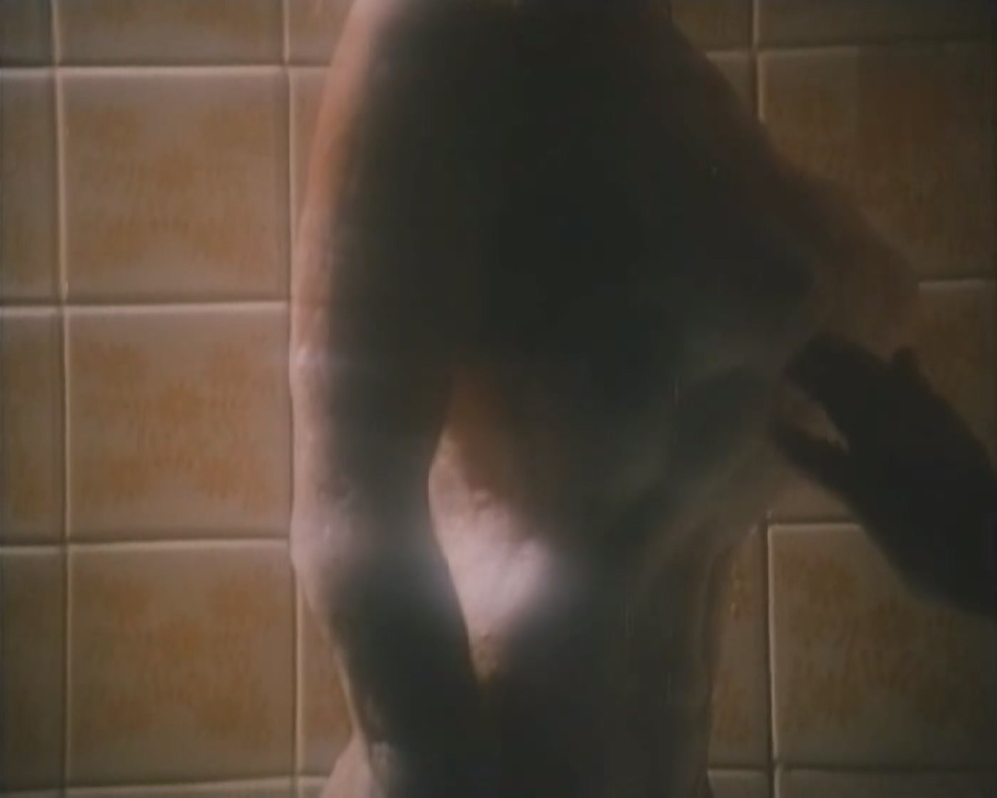 Елена Кондулайнен, неизвестная Шоу для одинокого мужчины (1994).mp4_20251118_150527.552.jpg