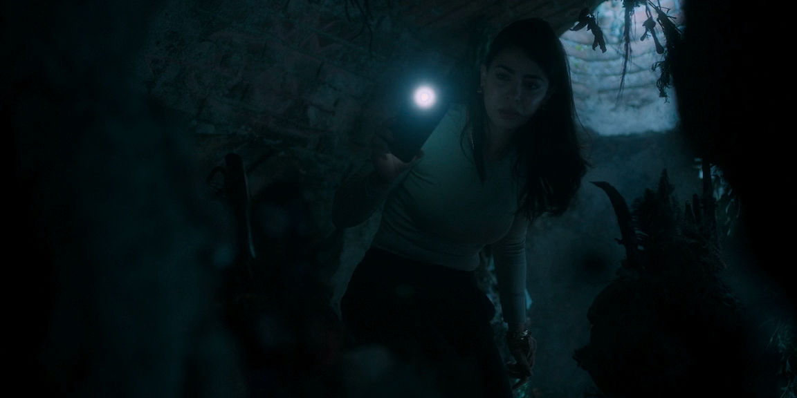 Сущность. Семейный кошмар (2025) HDRip-AVC_ivanes.mkv_20251119_121914.355.png