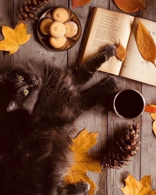 0YXW4y5Hy7FnUg12fesogj2HxMhgYUm95eqcq4EFopslEaB5SnkUffNHdJTZjM4q9uUNQA4gaJLoiXzwoF7V_0A3 (2).jpg