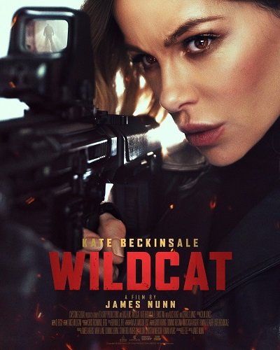 Идеальная афера / Wildcat (2025) WEB-DLRip | Чистый звук