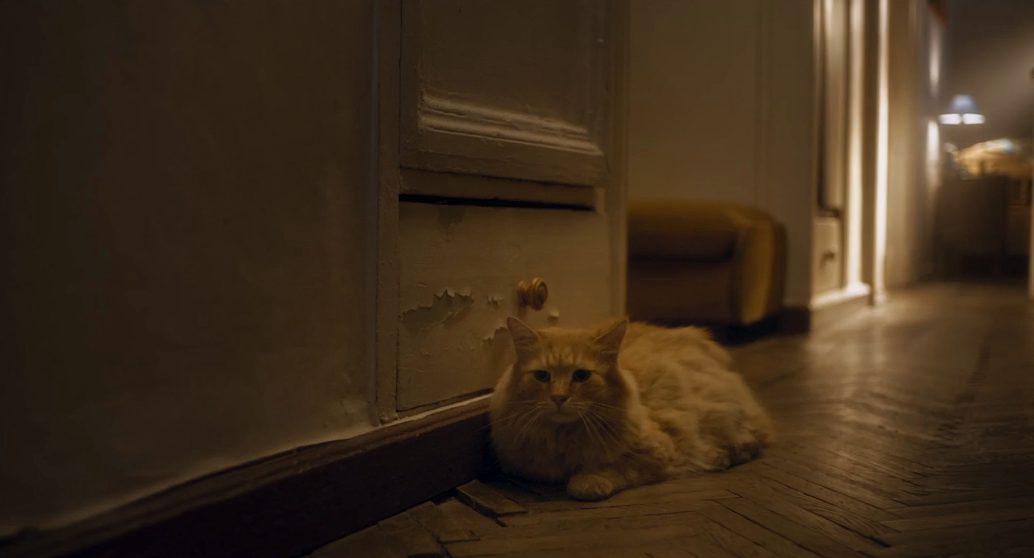 Мужские правила моего деда (2025) WEB-DLRip-AVC_ivanes.mkv_20251129_230241.613.png