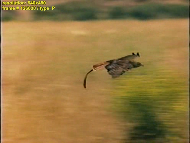 Beastmaster 3.avi126808.png