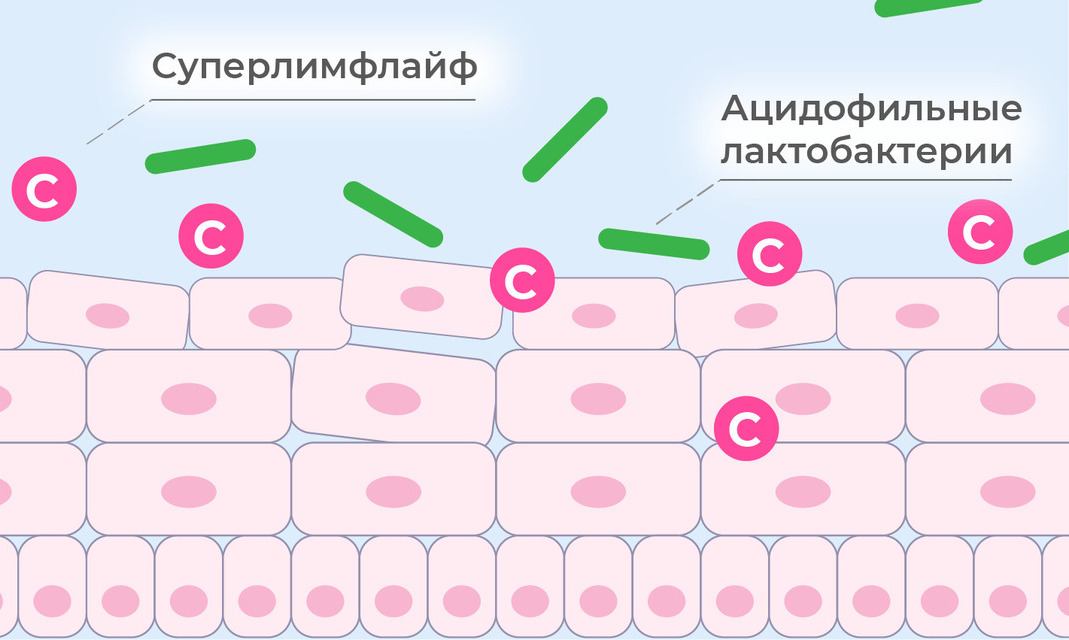 Лечение вагинального дисбиоза