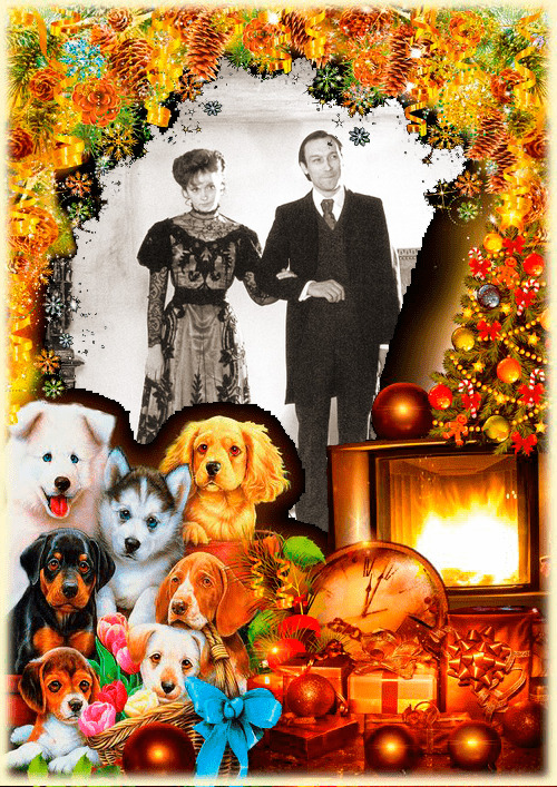 Стая босек.jpg