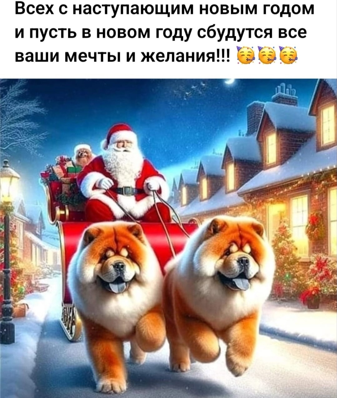 https://i7.imageban.ru/out/2025/12/31/3421e3e1e64325d1d31c5d2706bb7f19.jpg