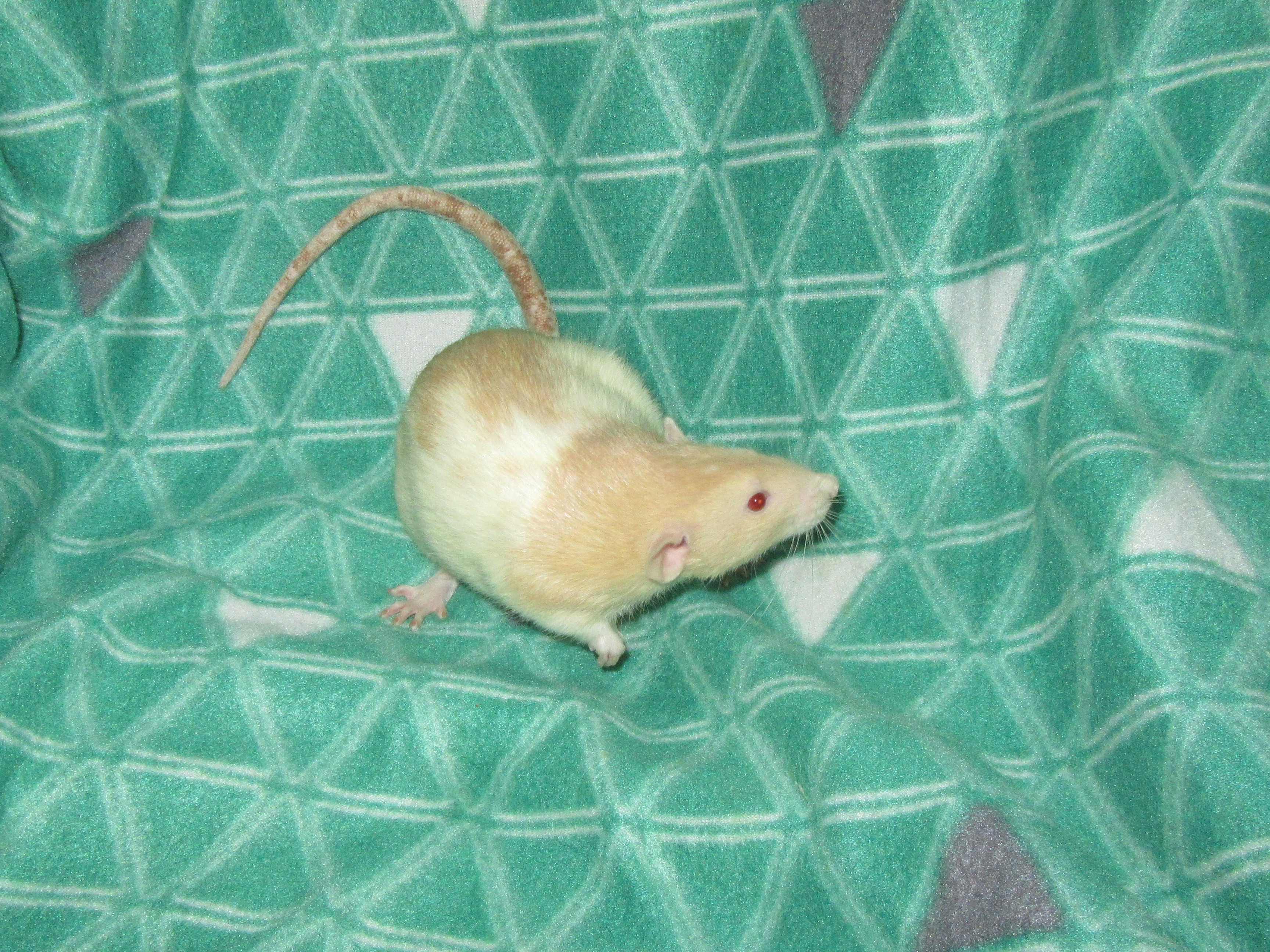 L4 Костя 02.jpg