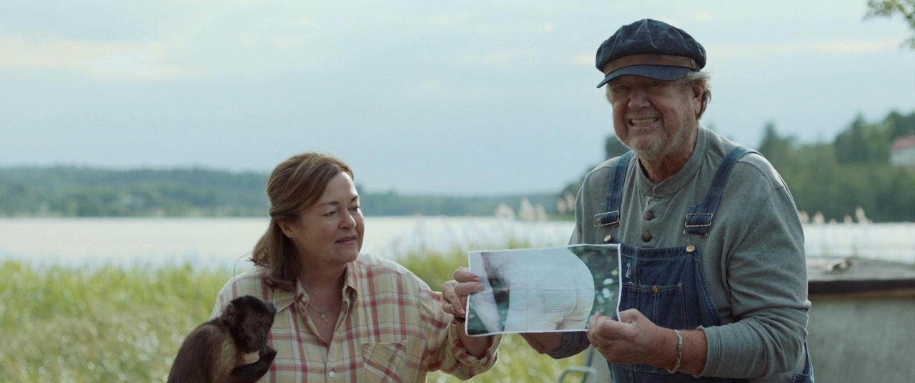 Стооднолетний старик.2016.BDRip 720p msltel.mkv_snapshot_01.43.05.759.jpg