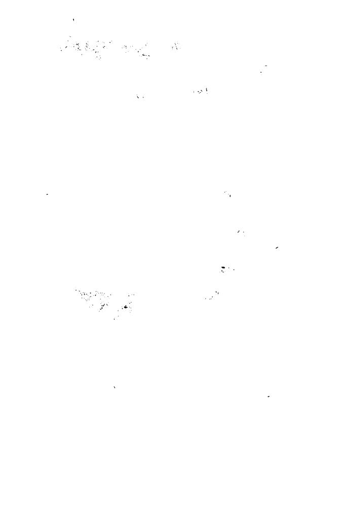 Ластбадер Э. - Вуаль Тысячи Слёз (Золотая серия фэнтези) - 2005_pic10.jpg