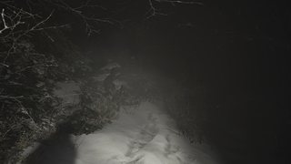 Resident Evil Village: Gold Edition [Build 21519280 + DLCs] (2021) PC | RePack by Wanterlude