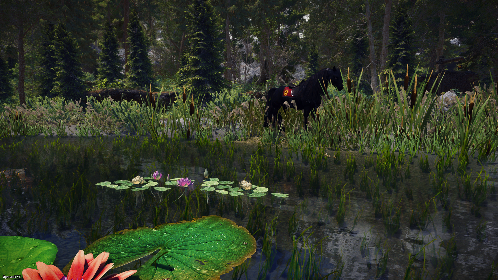 The Elder Scrolls V  Skyrim Special Edition Screenshot 2026.01.31 - 19.40.24.77.png