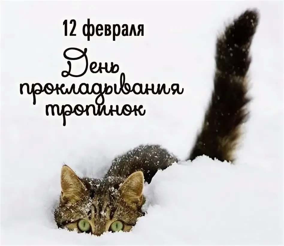https://i7.imageban.ru/out/2026/02/12/706359e801a7493dc99b9dbd0666d439.webp