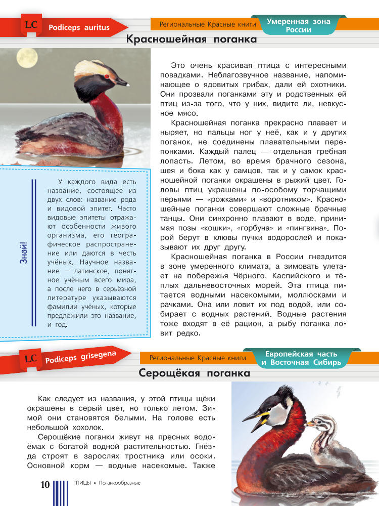 Целлариус Е. Ю. (ред.) - Красная книга России - 2017_pic10.jpg