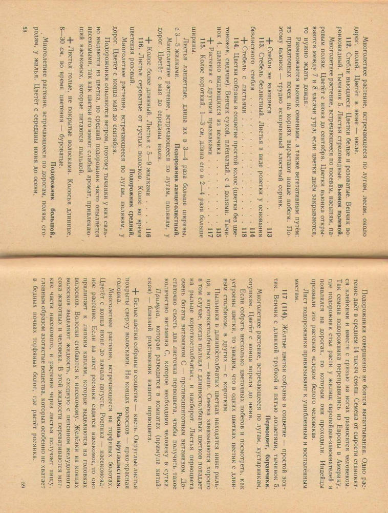 Иванова И. В. - Что растет вокруг тебя (1962)_pic30.jpg