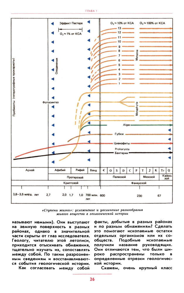 Соколов Б.С. Баландин Р.К. К неведомым глубинам 1988_pic30.jpg