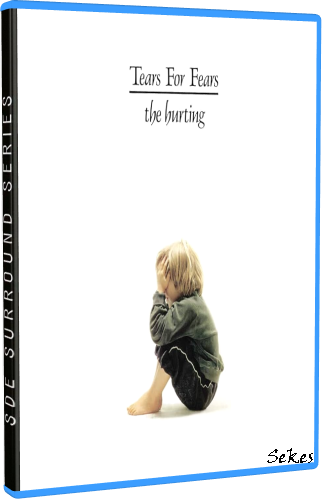 Tears For Fears - The Hurting (Anniversary Edition) (2023, B