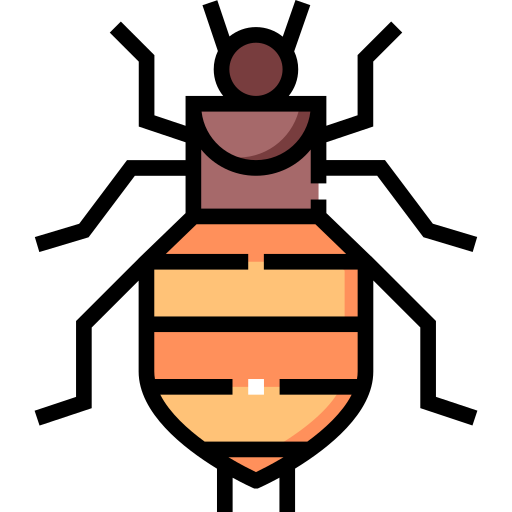 Бельевые вши