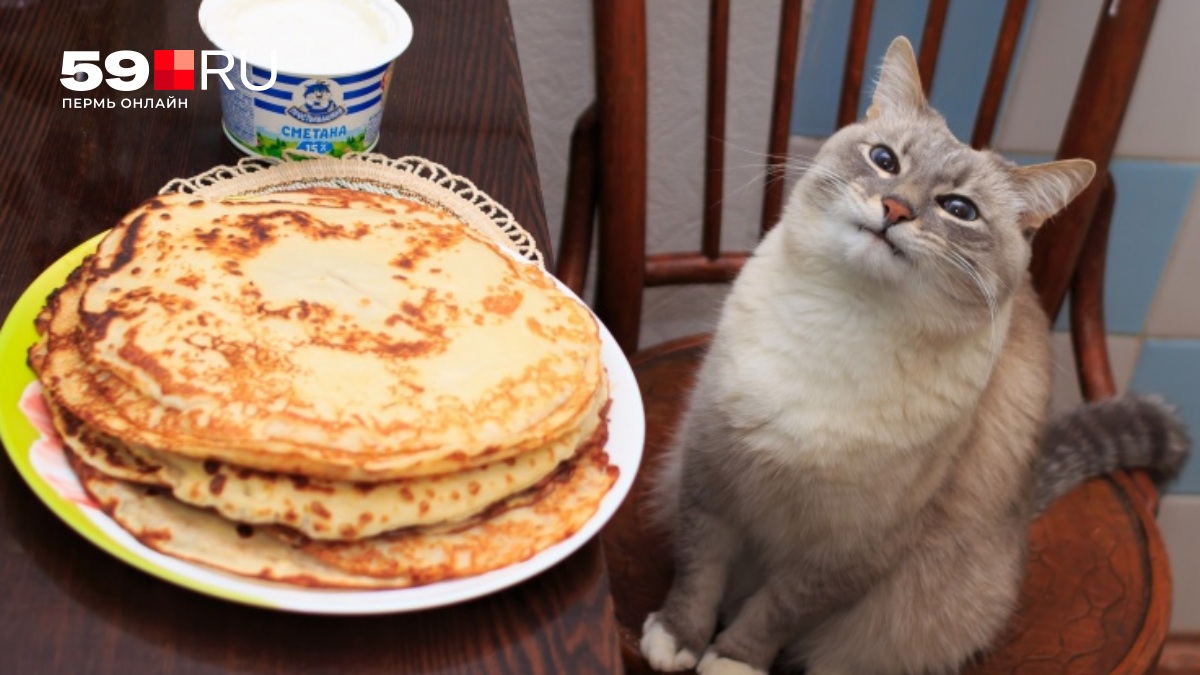 a7a -id4095226-16x9.jpg