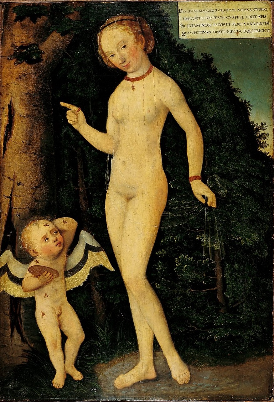 27Lucas_Cranach_d.?._-_Venus_mit_Amor_als_Honigdieb_(Mus?e_des_Arts_D?coratifs).jpg