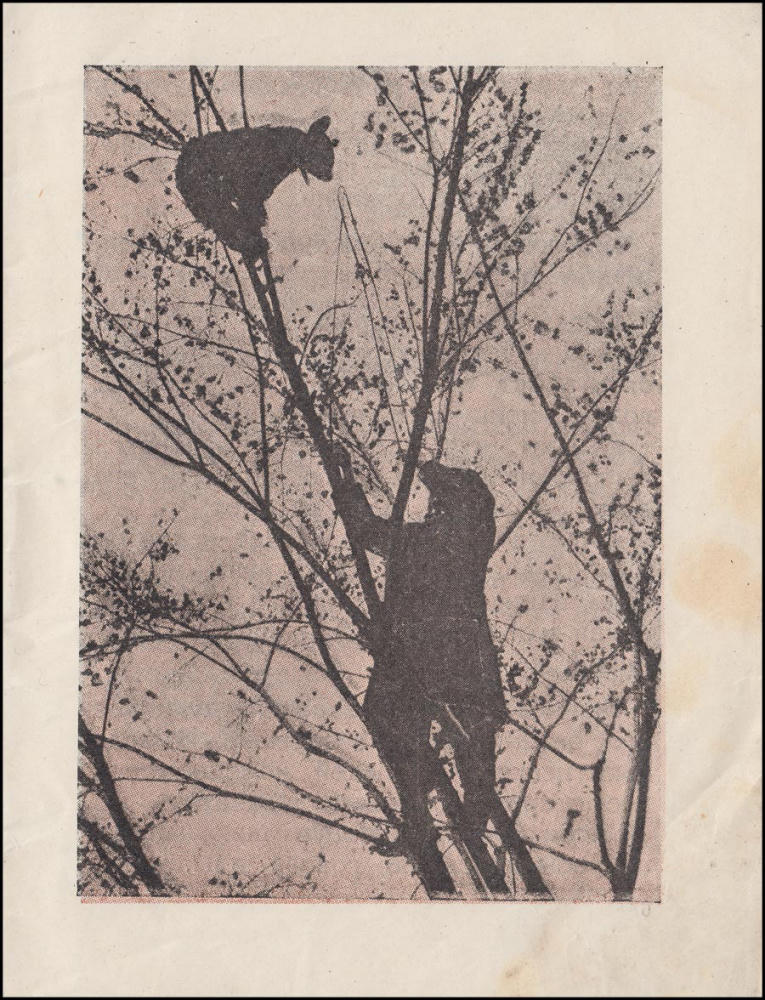 Звери в неволе (Библиотечка журнала Дружные ребята) - 1927_pic5.jpg