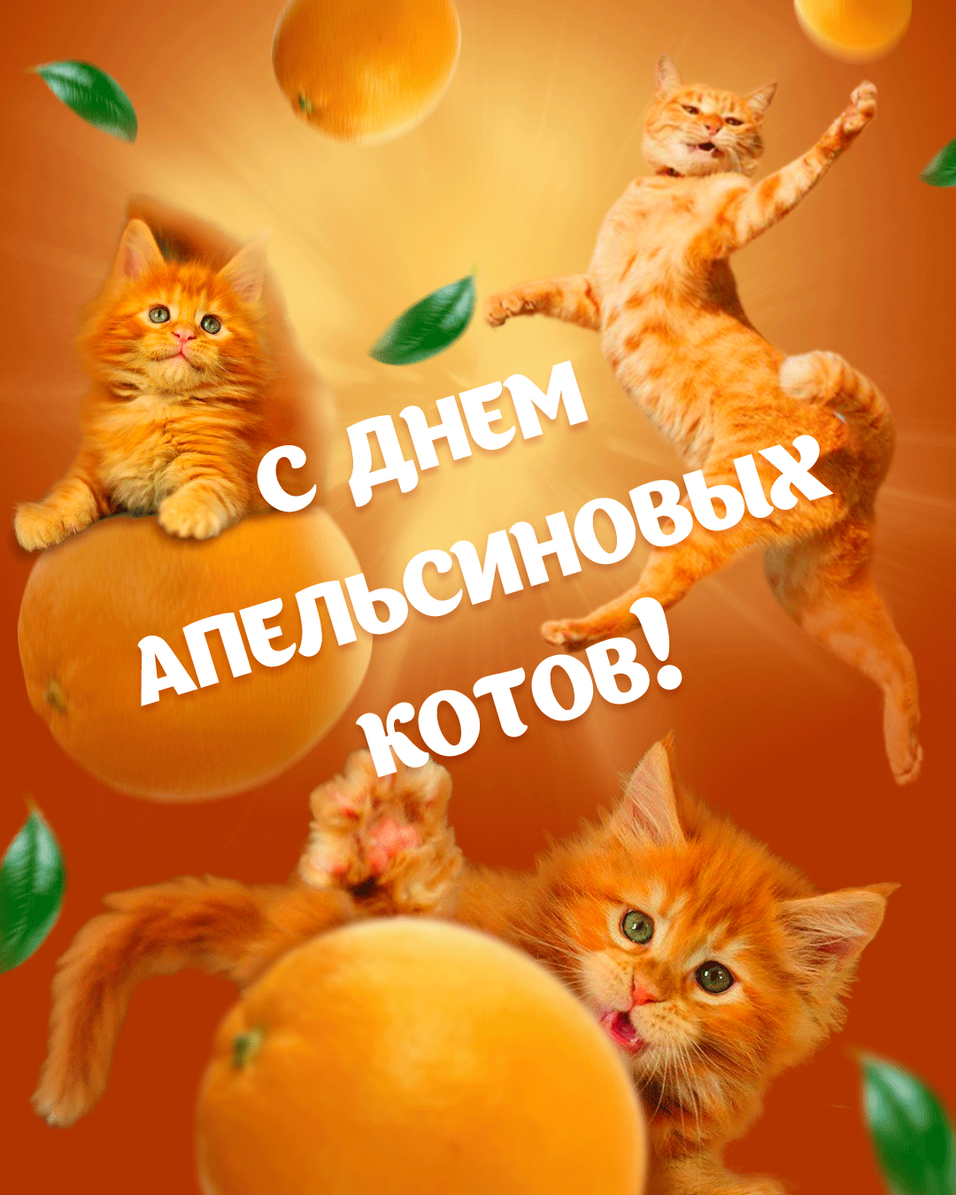 https://i7.imageban.ru/out/2026/03/04/329a9e2cbd4d8dae3b8da9979d7eb3c8.png