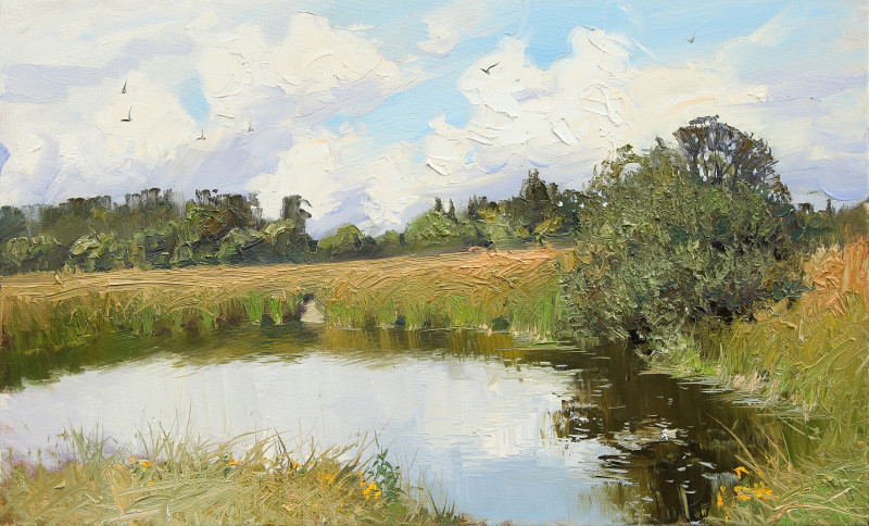 Летнии? пруд.jpg