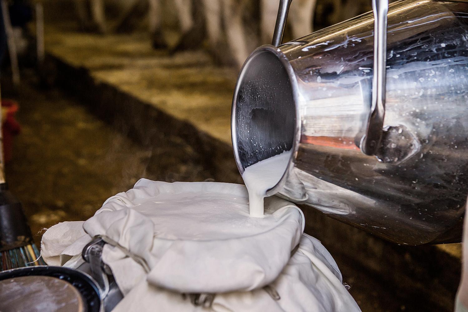 Вспышка пастереллеза в России: карантин в селах и меры безопасности