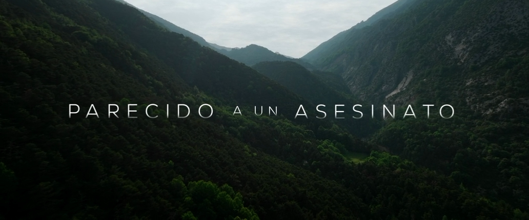 Скрытое убийство (2025) WEB-DLRip-AVC_ivanes.mkv_20260315_180458.358.png