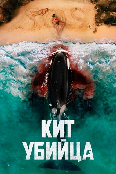 Cover.jpg