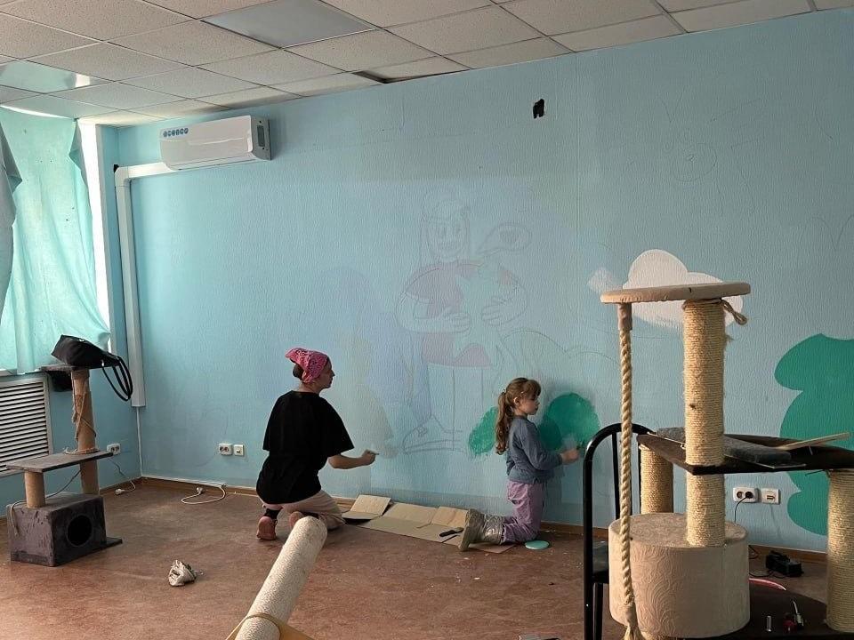 Приют «Счастливый хвост» в Перми переезжает из-за роста числа кошек до 200