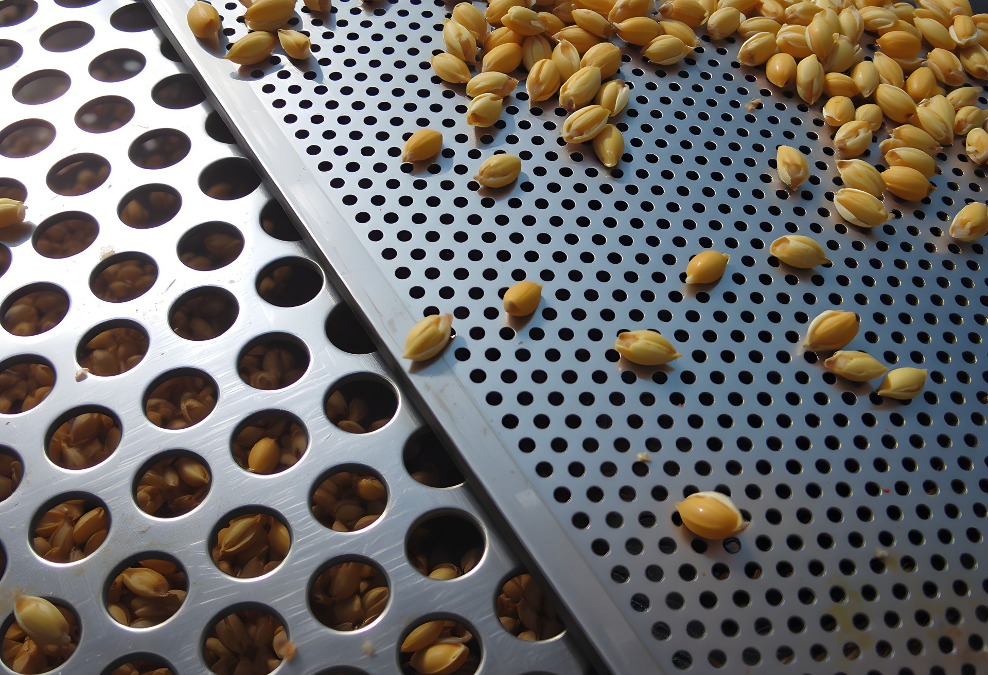 сито и решето_1920x1920_b7c.jpg