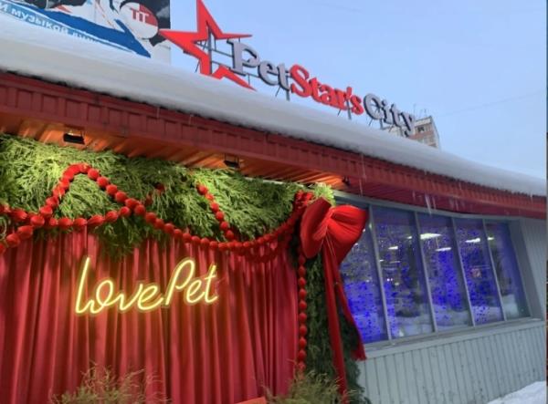 Пермская ветклиника Pet stars торговала лекарствами без лицензии