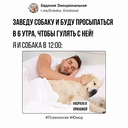 https://i7.imageban.ru/out/2026/04/06/779a7c7668aa181eed0d66d9eba58b16.jpg