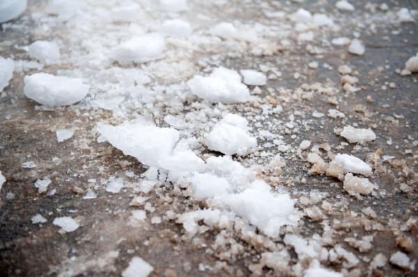 В Пермский край возвращаются дожди и мокрый снег: прогноз на выходные и начало недели