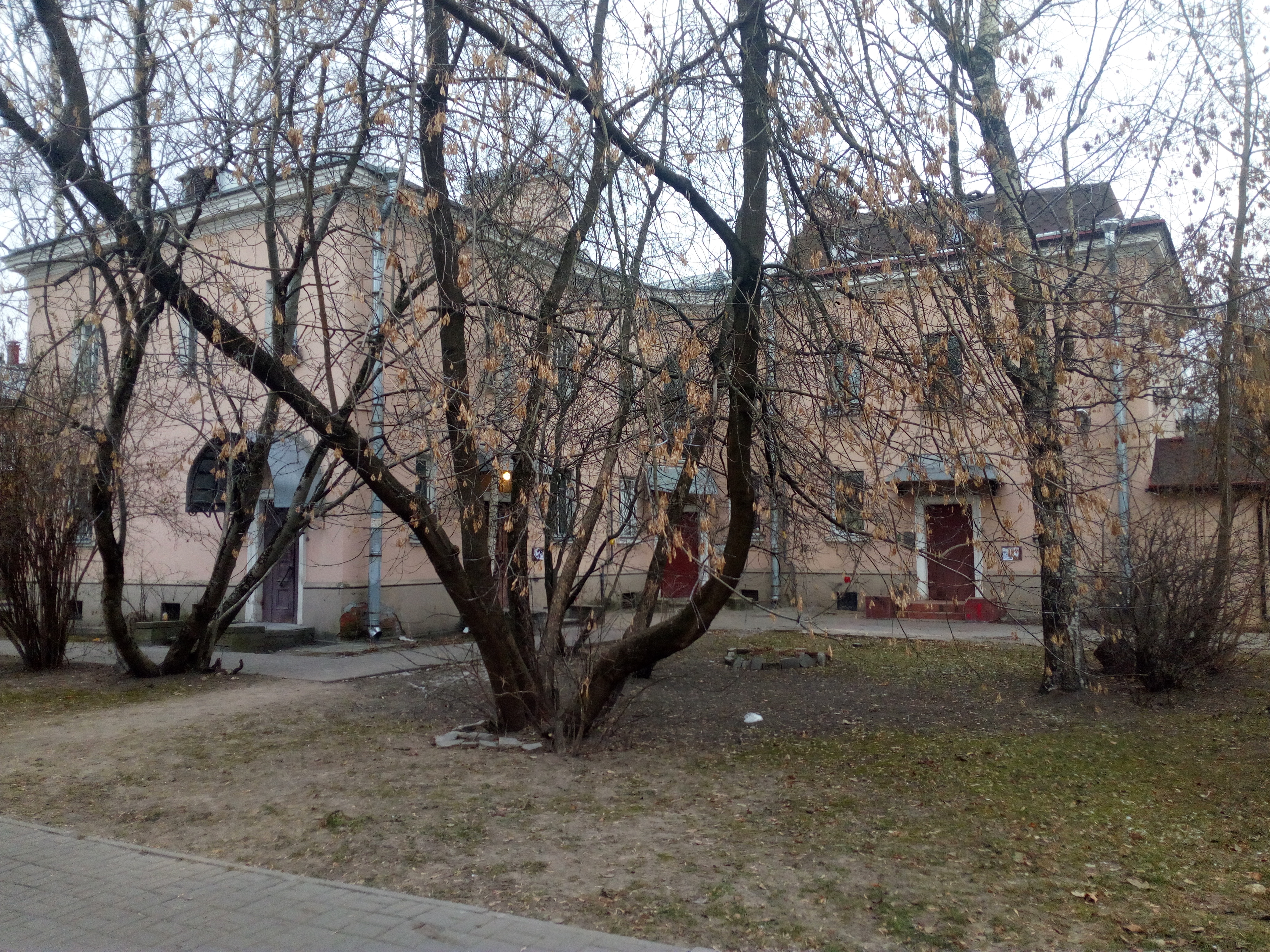Дибуновская 13_2.jpg