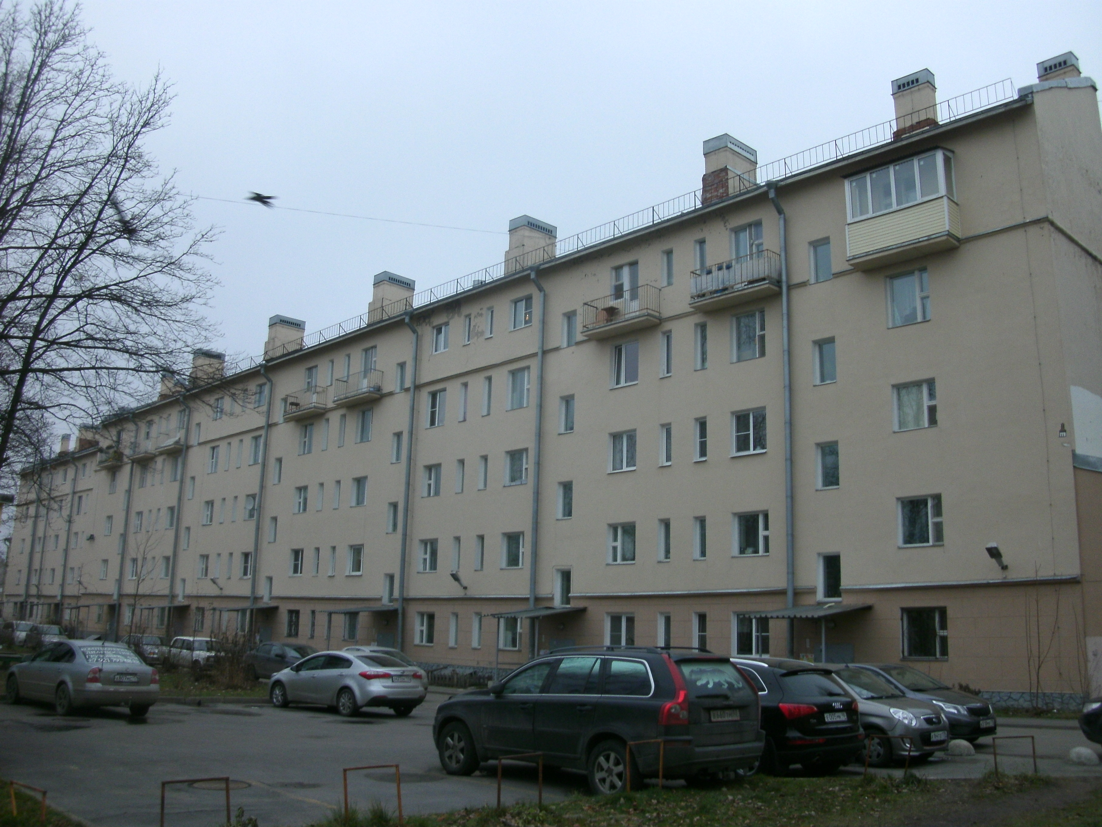 Металлострой, Пионерская 4_3.JPG