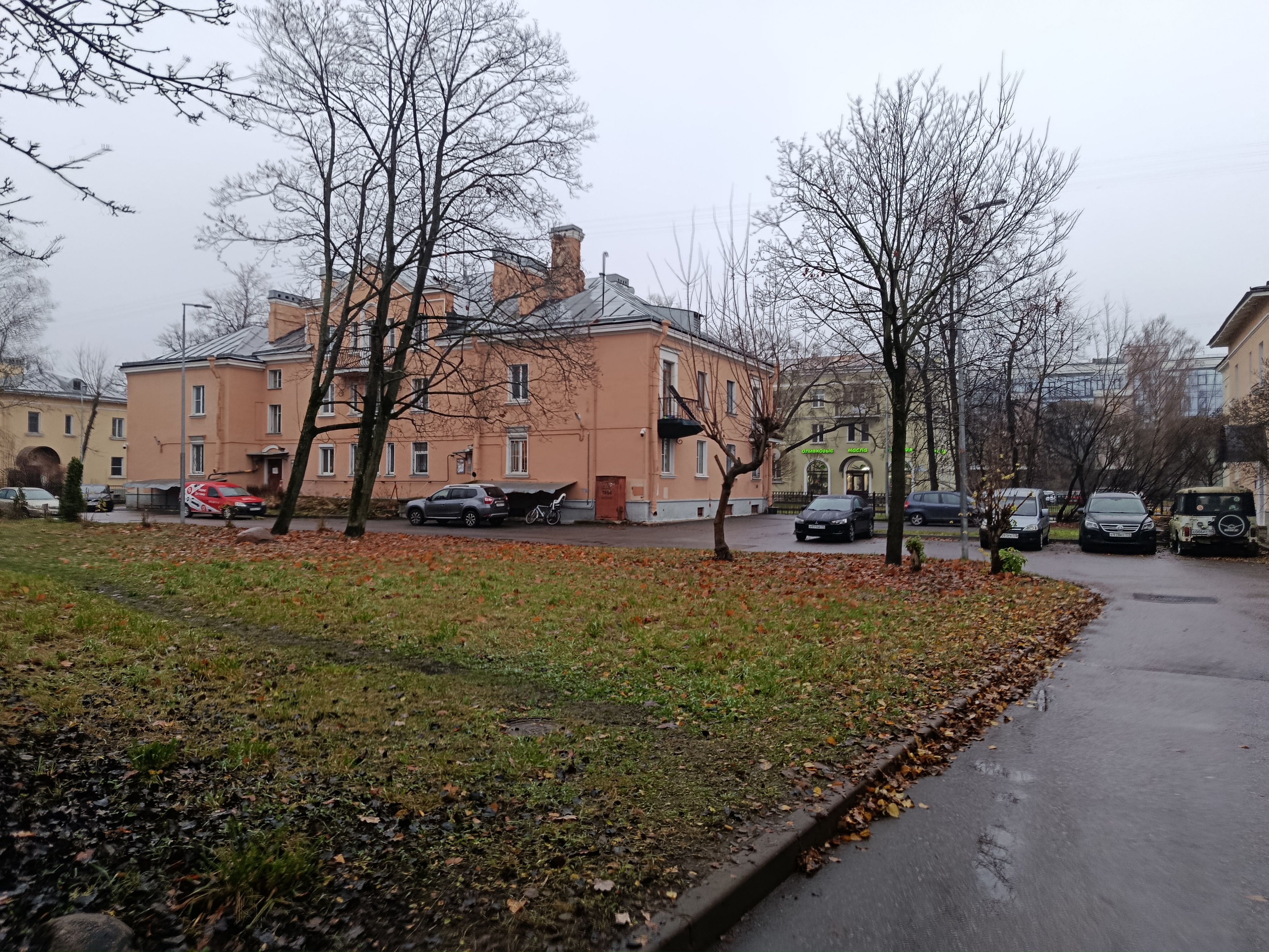 Савушкина 31_2.JPG