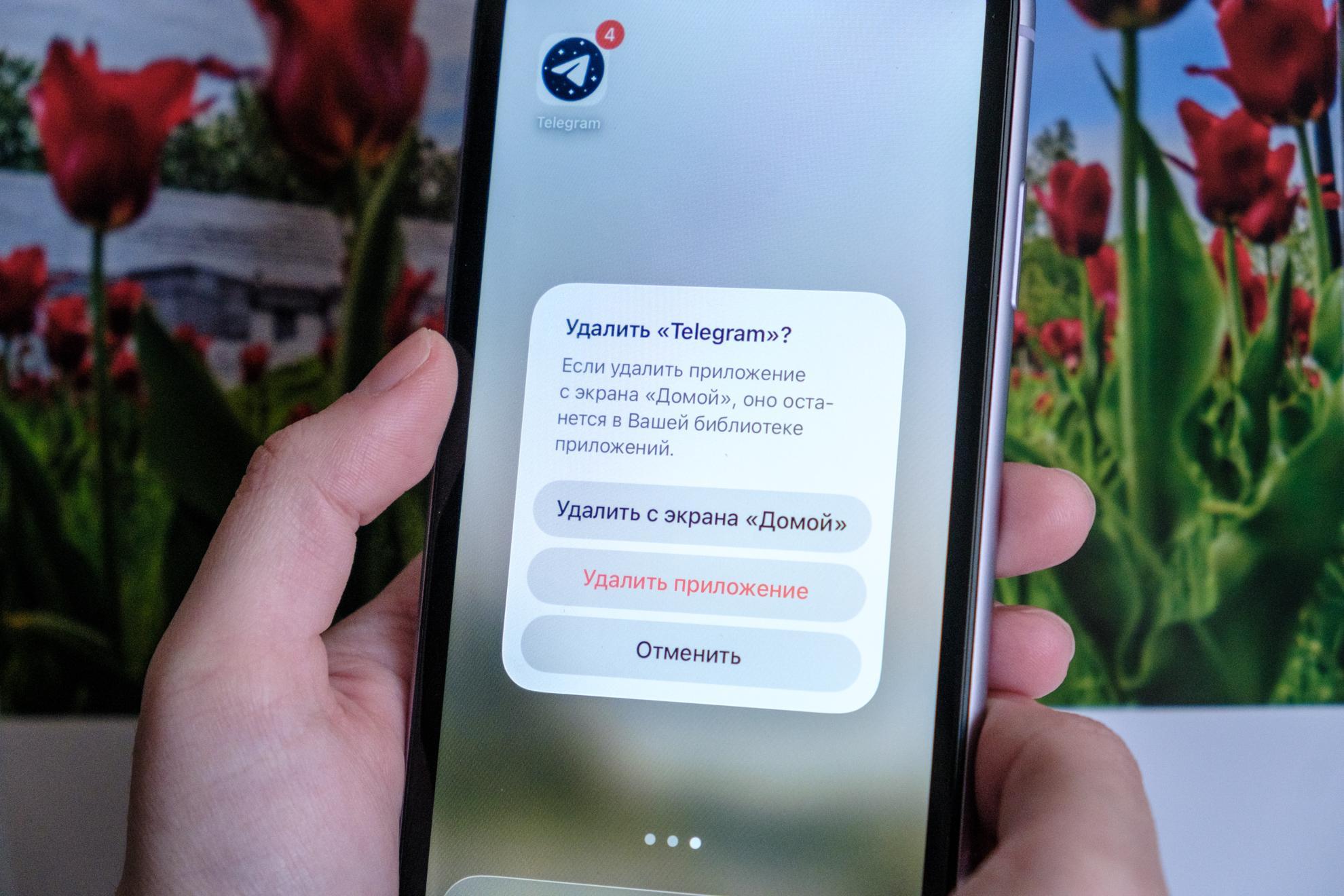 Власти России обсуждают ослабление блокировки Telegram из-за рисков для экономики