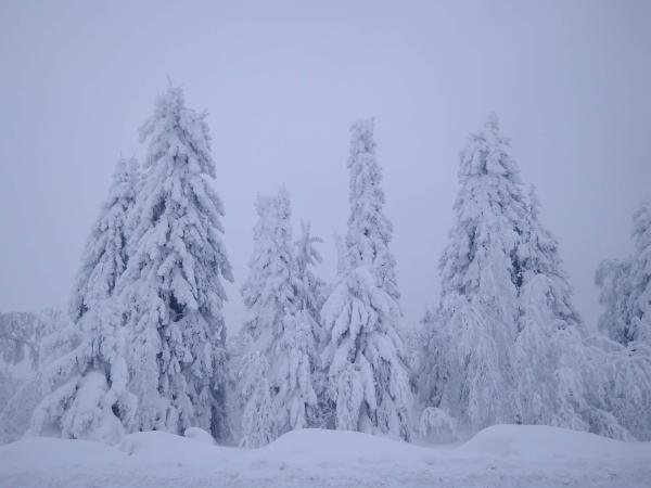 Север Прикамья завалило снегом: в Кудымкаре выросли 15-сантиметровые сугробы