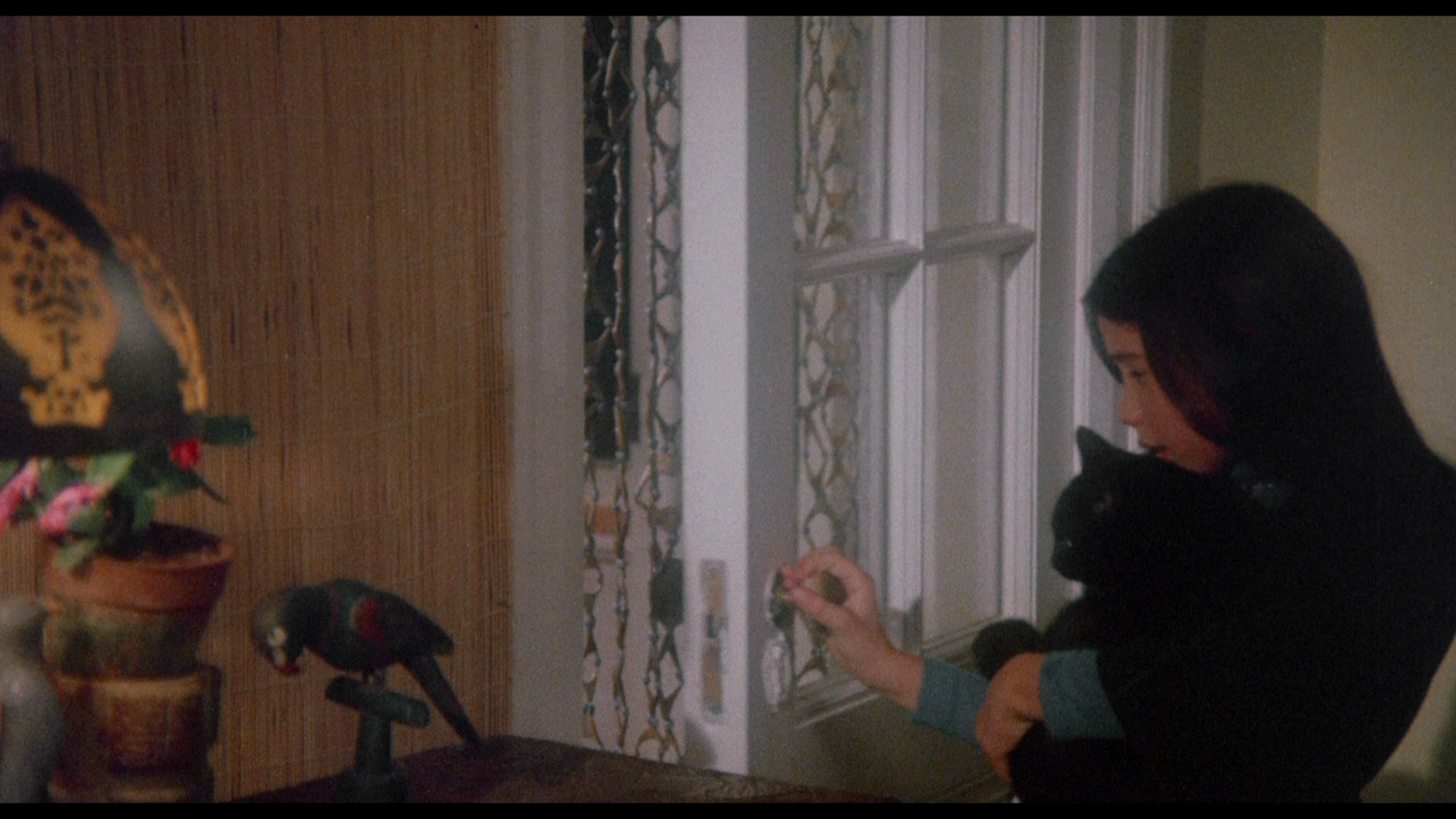 The.Uncanny.1977.Severin.Films.BDRemux.1080p.mkv_20260419_143923.964.png