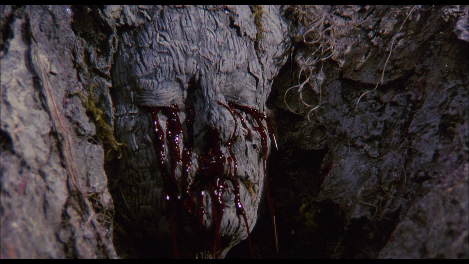 The.Guardian.1990.Koch.Media.BDRemux.1080p.mkv_20260419_100650.355.png