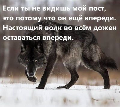 https://i7.imageban.ru/out/2026/04/24/1eac83b25a555cd0618a2376b60ff64d.jpg